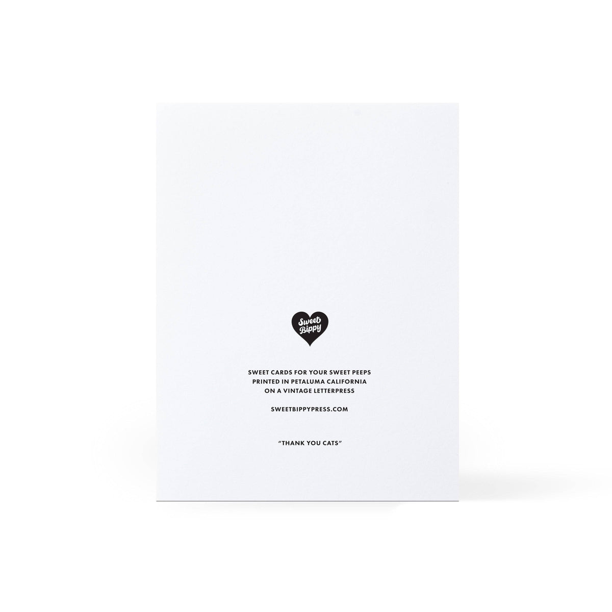 Thank You Cats Greeting Card
