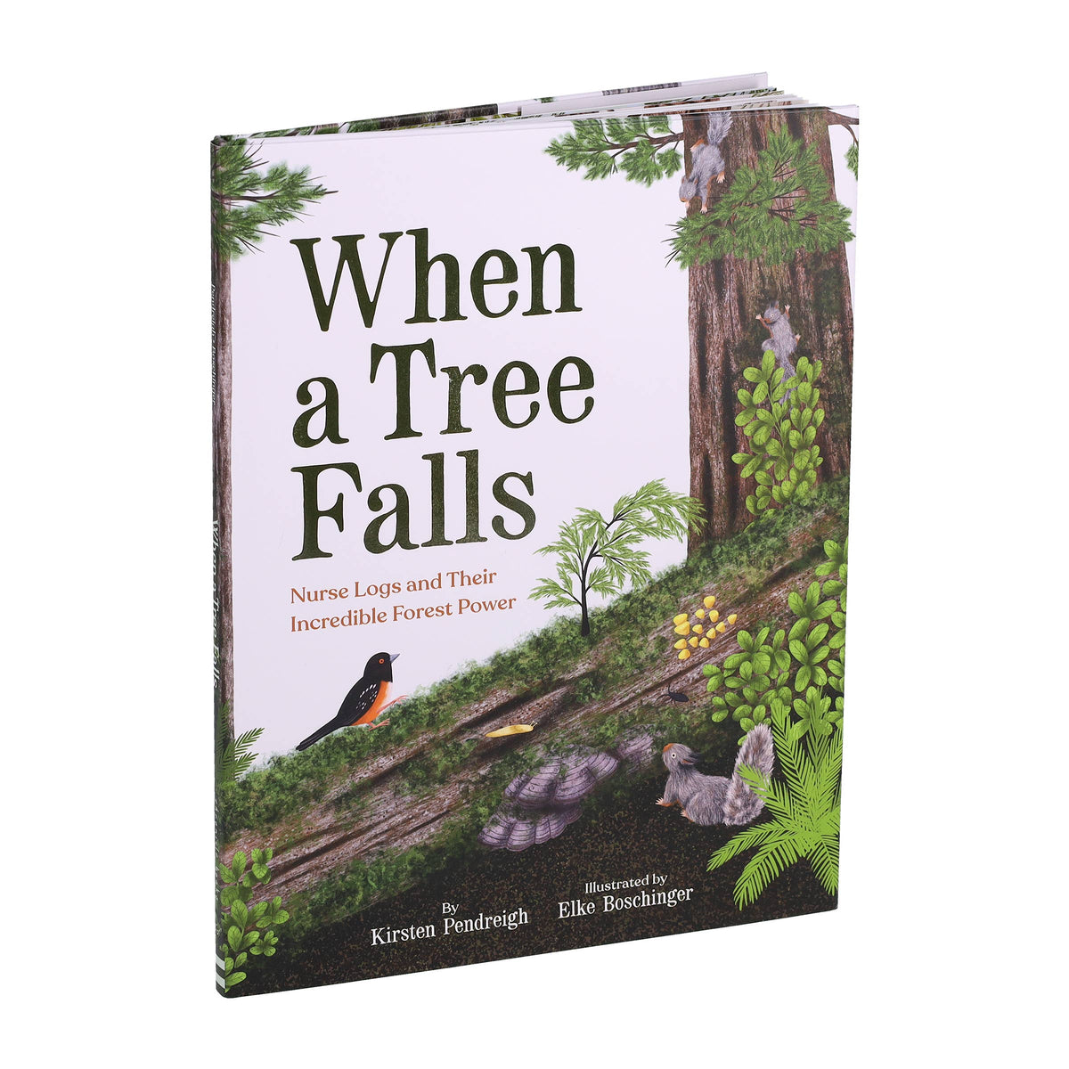 When a Tree Falls