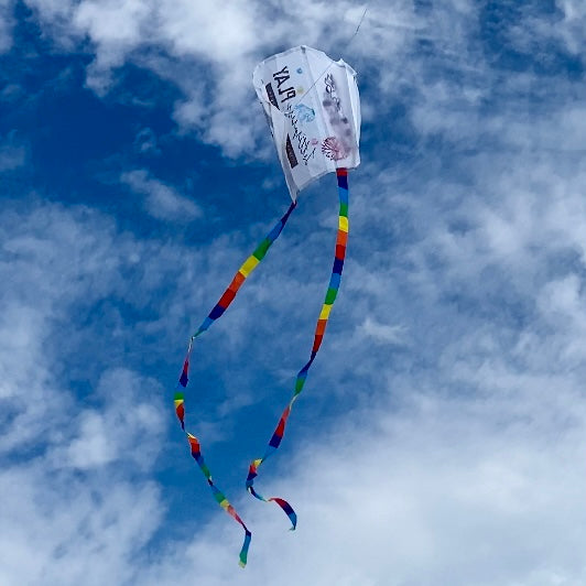 Block-Printed Kite