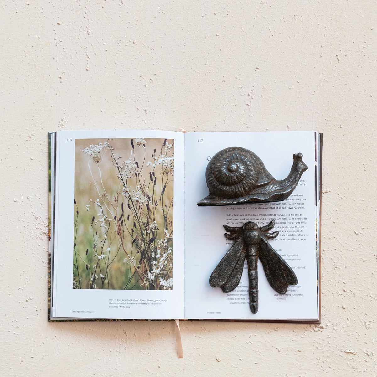 Cast Iron Snail, Rust Finish