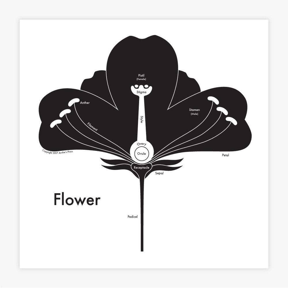 Flower Print
