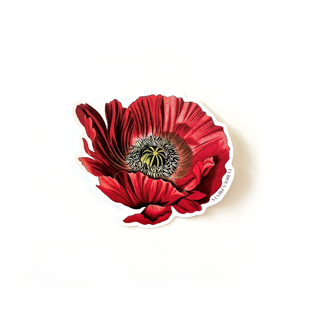 Vintage Botanical Poppy Flower Waterproof Sticker