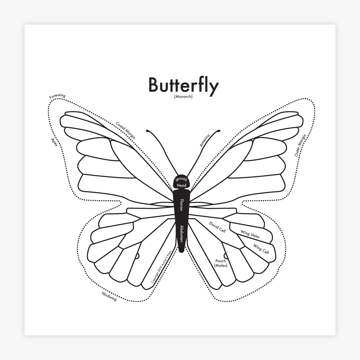 Black and white letterpress monarch butterfly labeled with anatomy print - Austin Gift Shop