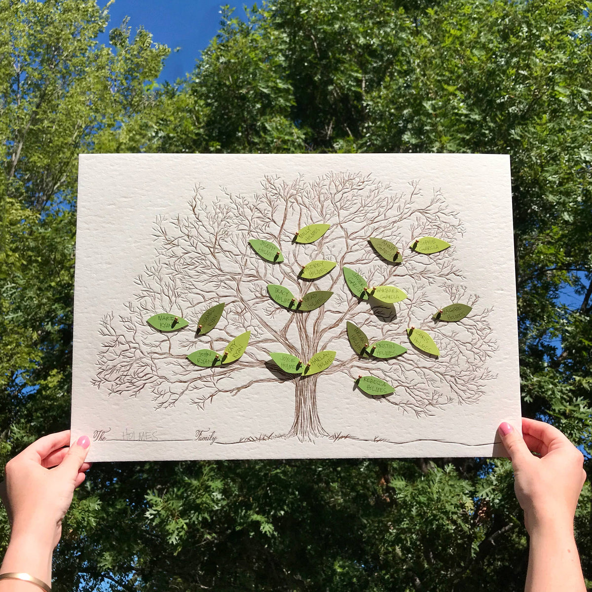 letterpress board of a tree with green paper leaves to create a family tree - Austin Gift Shop 